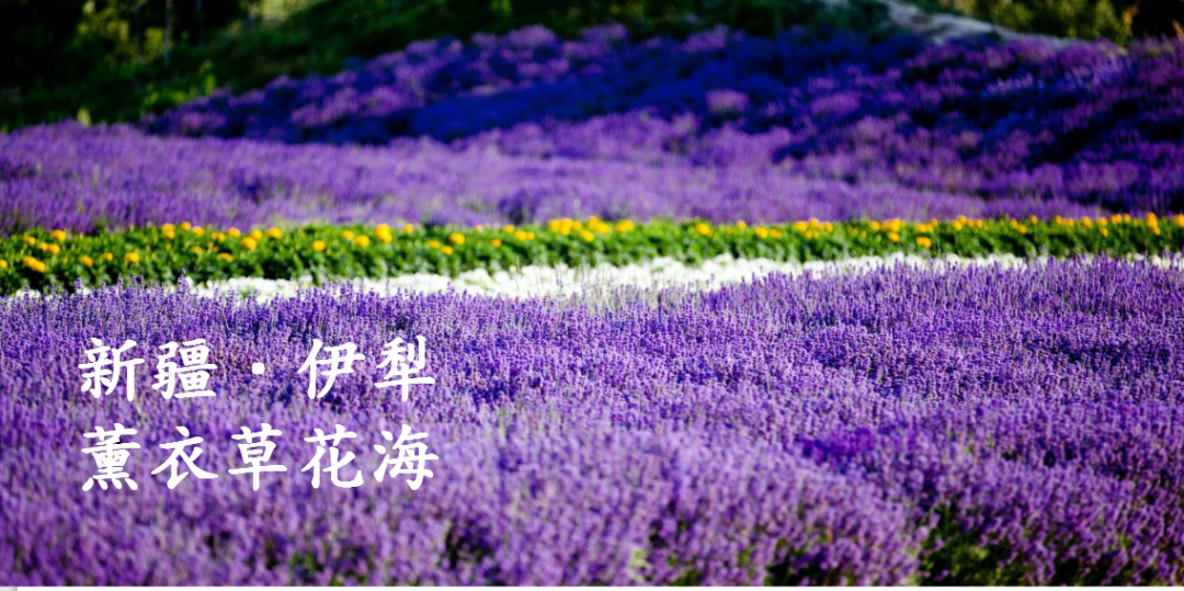 CIELOBLU基路伯 | 祖國(guó)之美，都在大自然的萬千色彩中(圖2)