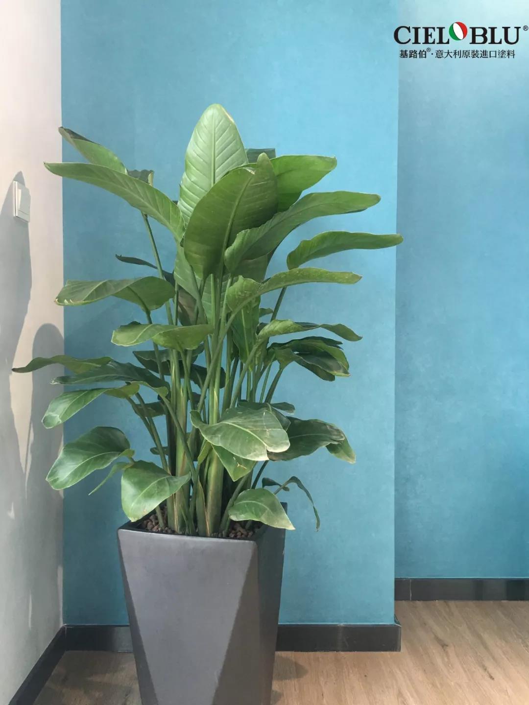 CIELOBLU基路伯佛山運(yùn)營中心牽手品牌一周年，涂裝體驗(yàn)再升級！(圖18)