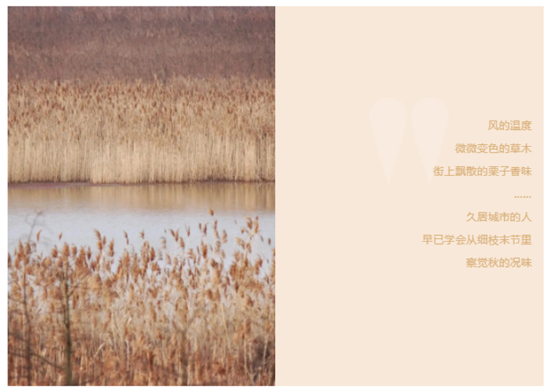 CIELOBLU | 基路伯「奶咖色」，為生活注入一份甜(圖1)
